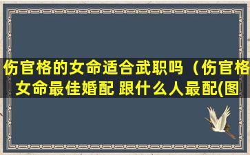 伤官格的女命适合武职吗（伤官格女命最佳婚配 跟什么人最配(图文)）